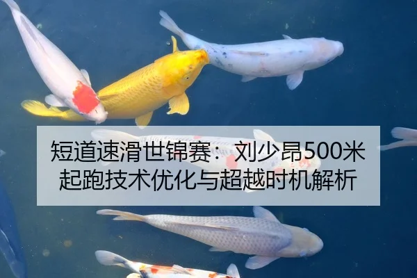 短道速滑世锦赛：刘少昂500米起跑技术优化与超越时机解析