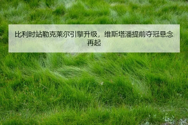 bi-li-shi-zhan-lei-ke-lai-er-yin-qing-sheng-ji-wei-si-ta-pan-ti-qian-duo-guan-xuan-nian-zai-qi-2-947.jpg