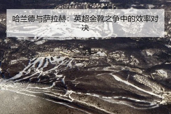 ha-lan-de-yu-sa-la-he-ying-chao-jin-xue-zhi-zheng-zhong-de-xiao-lv-dui-jue-2-752.jpg